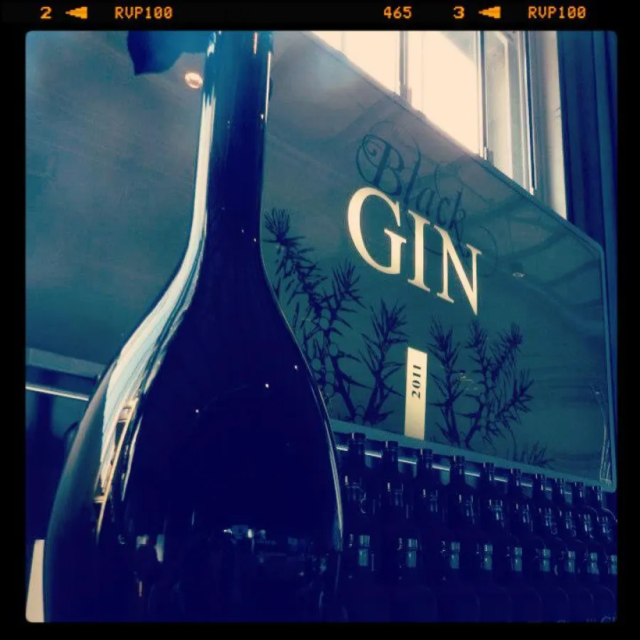 Eines der Top-Produkte von Gansloser: Black GIN