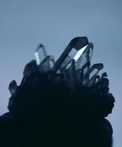 Bild: ALTER HASE NEU AM MARKT – CORYX STARTET AM WEALTH MANAGEMENT-MARKT DURCH 