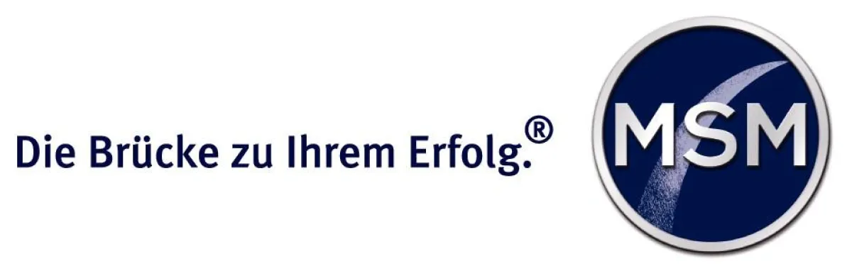 MSM Group Logo