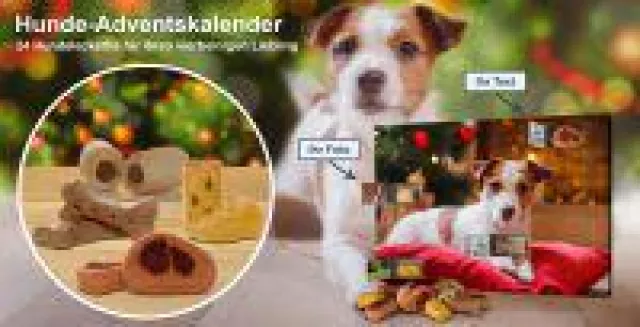 Bild: Absolute Neuheit: Hunde-Fotoadventskalender