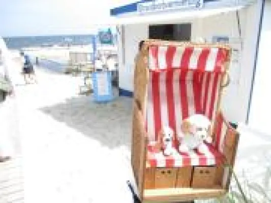 Bild: Reisen mit dem Hund ins Ausland: Viele EU-Länder haben eigene Vorschriften