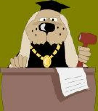 Sittenwidrigkeit von Bürgschaften oder Darlehensverträgen durch nahe Angehörige, insbesondere Ehegatten Bild: Sittenwidrigkeit von Bürgschaften oder Darlehensverträgen durch nahe Angehörige, insbesondere Ehegatten