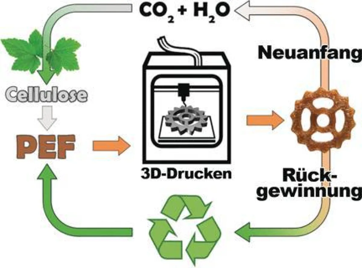 Neues Polymer aus Biomasse ist problemlos recyclebar. ((c) Wiley-VCH)