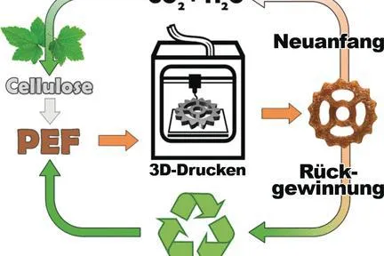 Bild: Von der Cellulose zum 3D-Objekt