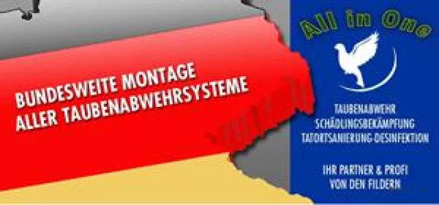 Bild: Taubenabwehr von Allinone - Für viele Gebäude unverzichtbar