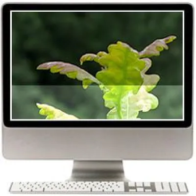 Weitreichend platziert: „Quick Web Response“ macht Unternehmen in Sozialen Medien und Suchmaschinen sichtbarer Bild: Weitreichend platziert: „Quick Web Response“ macht Unternehmen in Sozialen Medien und Suchmaschinen sichtbarer