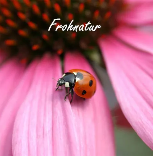 Bildband \"Frohnatur\" Bild: Bildband \"Frohnatur\"