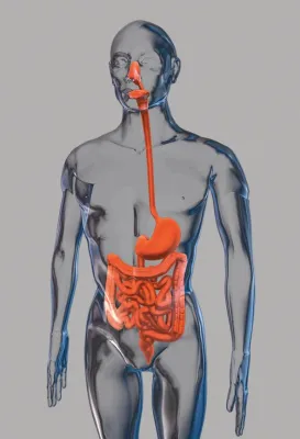 Bild: Ausbildungsstipendien für Colitis ulcerosa-Betroffene – Bewerbungsschluss am 30. April 2009