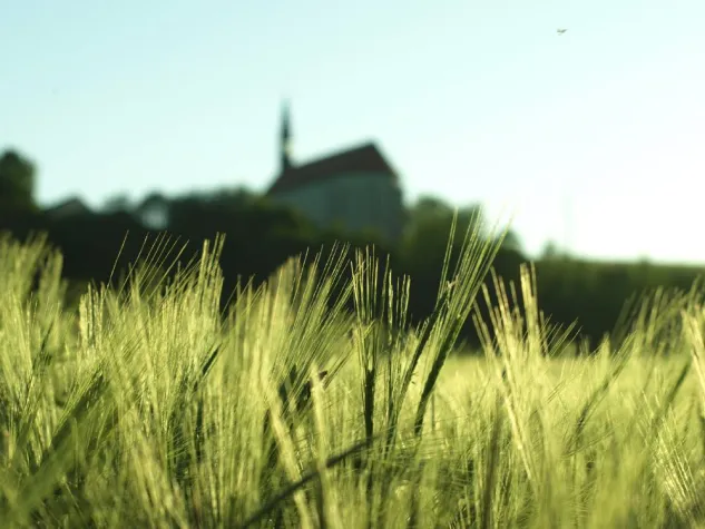 Bild: STIMMWERCKTAGE 2012 - LIVE-STREAM VON ERIC SATIES "VEXATIONS"