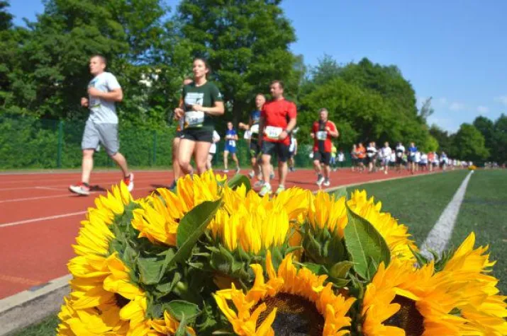 Bild: Sonnenblumenlauf in Leipzig