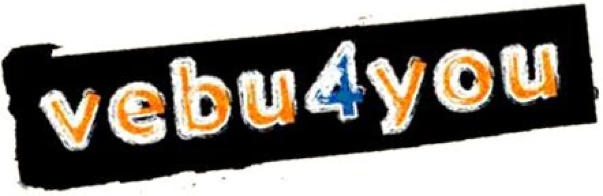 Logo vebu4you