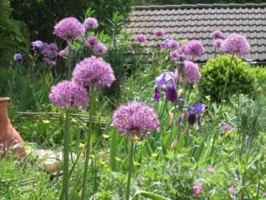 Bild: Gartengestaltung: Keine Angst vor der Bilderflut