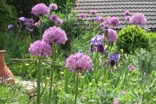 Gartengestaltung: Keine Angst vor der Bilderflut Bild: Gartengestaltung: Keine Angst vor der Bilderflut