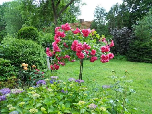 Bild: Wintergarten als Anbau der Immobilie: Zentraler Lebensraum mit einem Hauch von Nostalgie