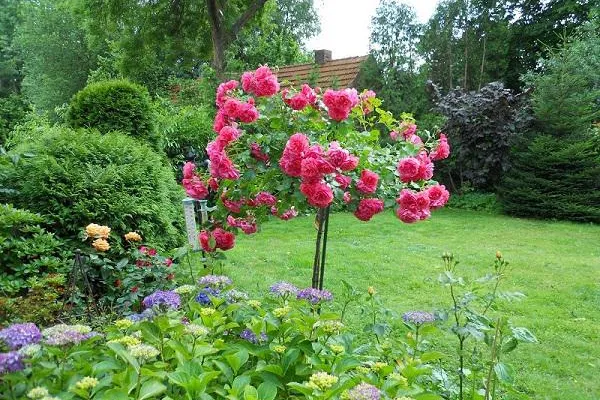 Bild: Wintergarten als Anbau der Immobilie: Zentraler Lebensraum mit einem Hauch von Nostalgie