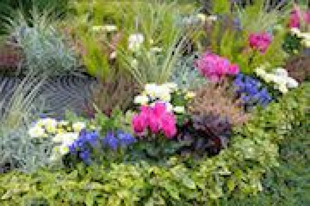 Herbstliches Grab: Hier zeigen Friedhofsgärtner die ganze Bandbreite ihrer Kreativität. (Bild: BdF)