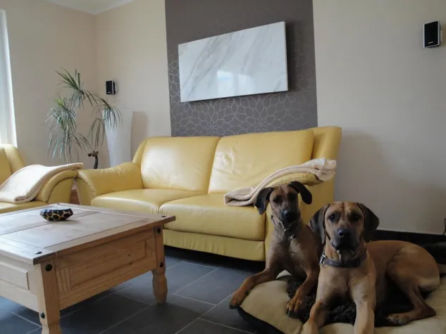 Bild: Schimmelbekämpfung mit Infrarot