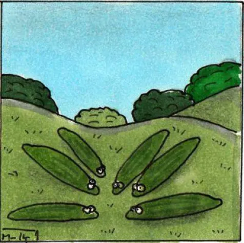 Erweiterung der Online Galerie Stauferland Bild: Erweiterung der Online Galerie Stauferland