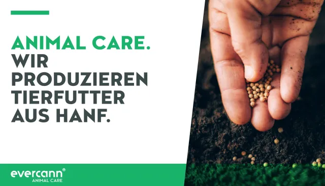 Bild: Futter für Hund und Pferd – natürlich mit Hanf und CBD! 