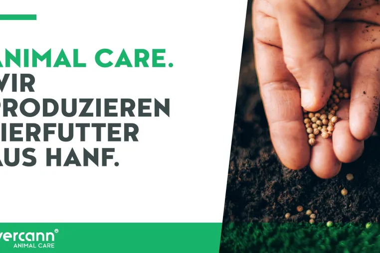 Futter für Hund und Pferd – natürlich mit Hanf und CBD! Bild: Futter für Hund und Pferd – natürlich mit Hanf und CBD!