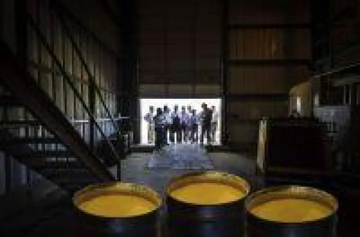 Bild: Deutlich höhere Uranpreise voraus