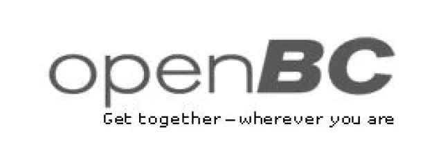 Bild: openBCs Popularität erreicht neuen Rekord - Networking-Plattform verzeichnet 125 Millionen page impressions