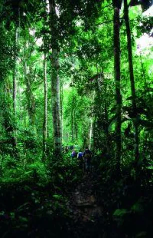 Bild: Kolibris, Kondore und Teufelsnase