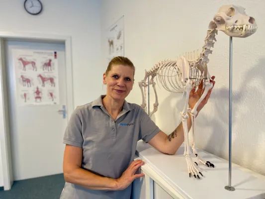 Bild: Hundephysio ist das neue Sitz! Warum immer mehr Hunde zur Therapie gehen