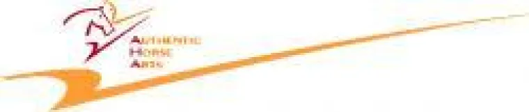 Bild: "Wenn dein Pferd tod ist - steig ab" - von Herzen anders - Authentic Horse Arts mit Best Western Hotels