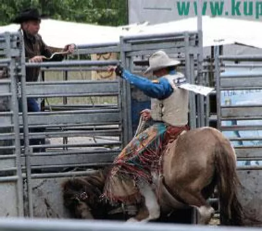 Bild: Motoball statt Rodeo