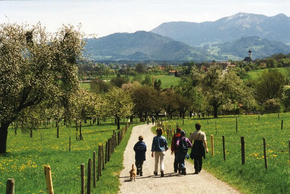 Das Lächeln der Natur beim Blütenwandertag in Bad Feilnbach / (c) Kur- und Gästeinformation Bad Feilnbach