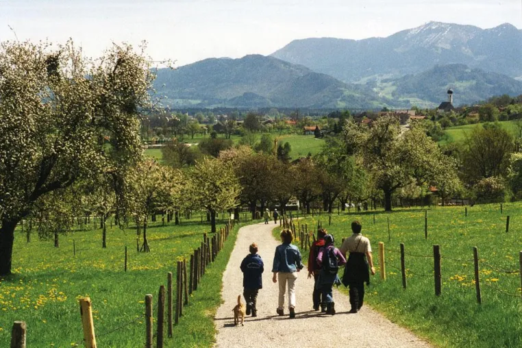 Farbenfrohe Märchenlandschaft: Die Bad Feilnbacher Blütenwanderung am 25. April 2010 Bild: Farbenfrohe Märchenlandschaft: Die Bad Feilnbacher Blütenwanderung am 25. April 2010