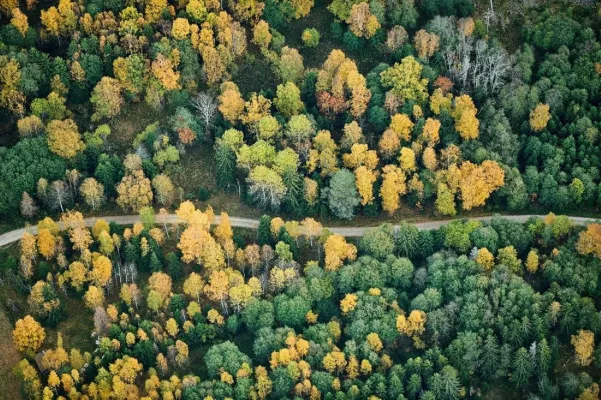 Bild: Nach dem Vorbild von Fridays for Future: Scania beteiligt sich am Klimatag 2019