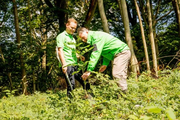 Bild: SOURCE pflanzt Unternehmenswald - Im August startete das Nachhaltigkeitsprojekt für Klimaschutz