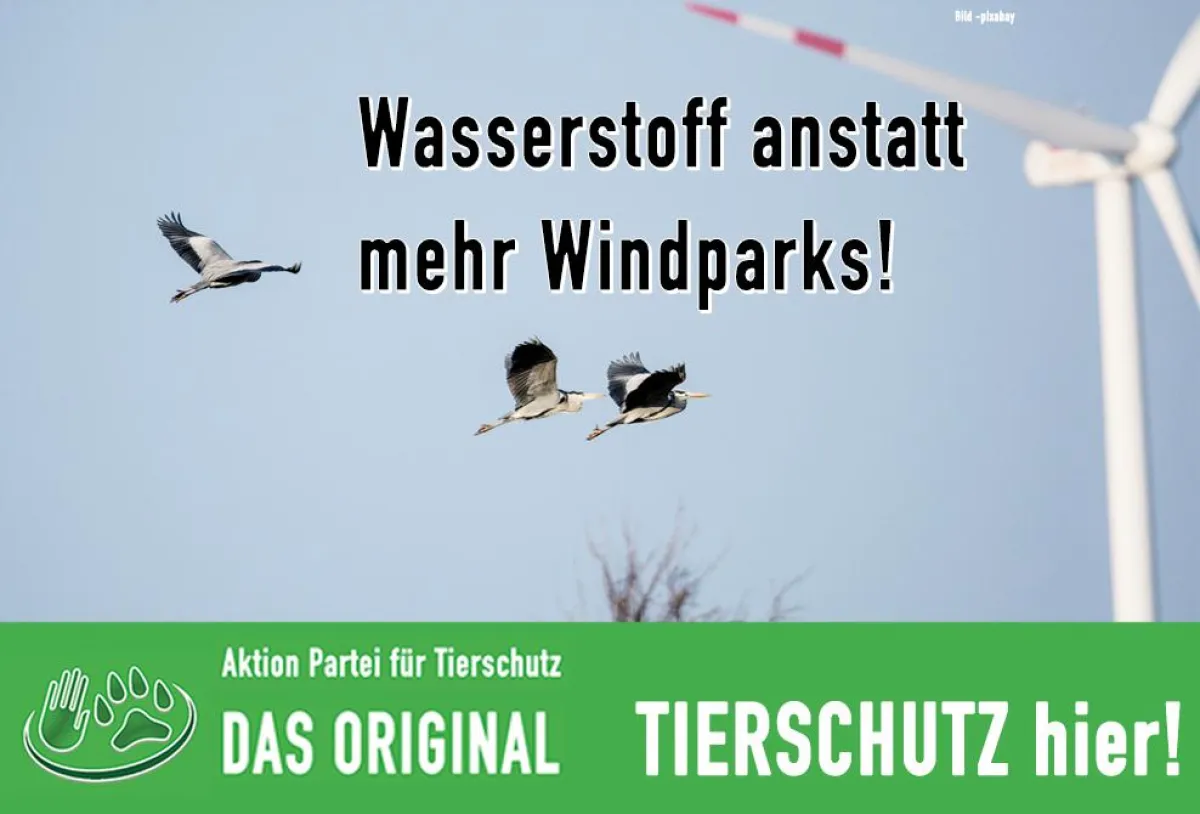 Energiepolitik ist wählbar. Tierschutz-hier!