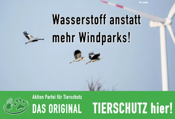 Bild: Wasserstoff anstatt mehr Windparks