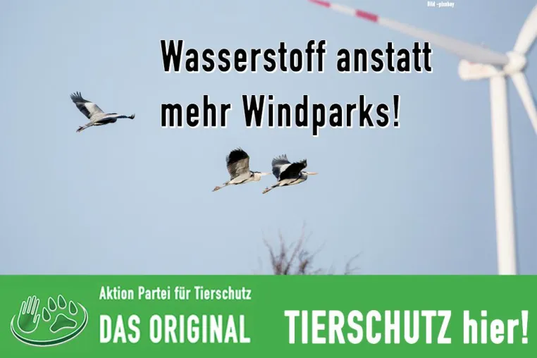 Bild: Wasserstoff anstatt mehr Windparks