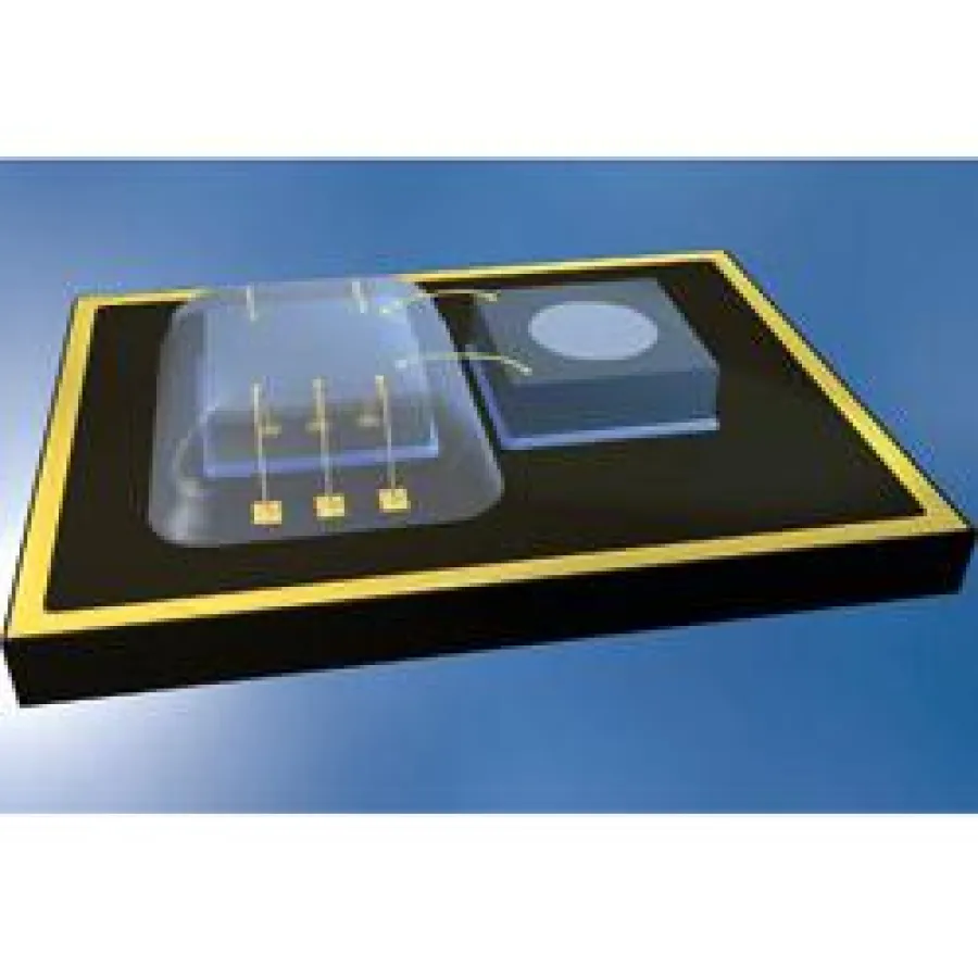 Bild: Chip und Sensor eines MEMS: (Bild: DELO)