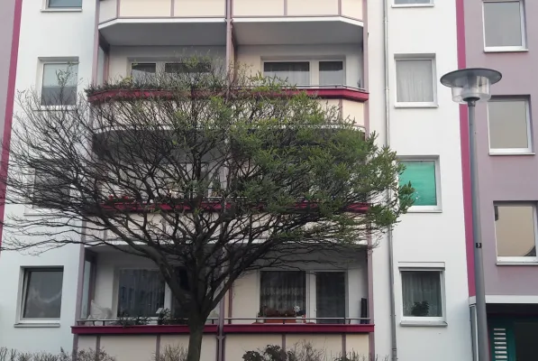 Lichtverschmutzung verlängert die Vegetationsperiode von Stadtpflanzen Bild: Lichtverschmutzung verlängert die Vegetationsperiode von Stadtpflanzen