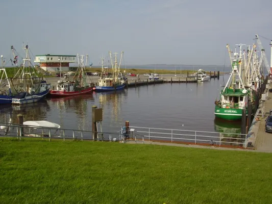Bild: Herbstferien an der ostfriesischen Nordseeküste und auf den ostfriesischen Inseln