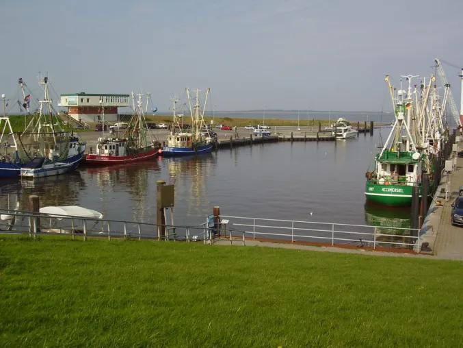Bild: Herbstferien an der ostfriesischen Nordseeküste und auf den ostfriesischen Inseln