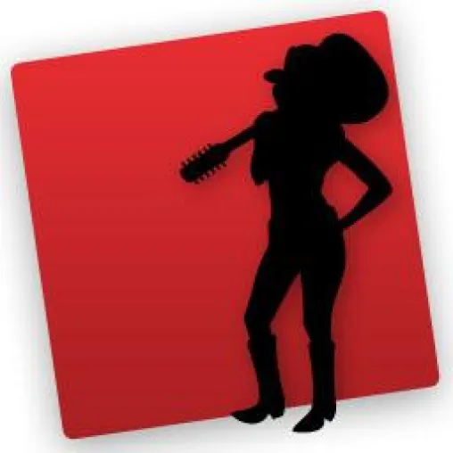 SongGenie räumt die Musikbibliothek auf Bild: SongGenie räumt die Musikbibliothek auf
