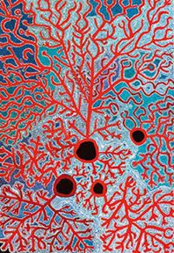 Bild: Aboriginal Art Ausstellung in Freiburg: NGURA NINTI - KNOWING COUNTRY