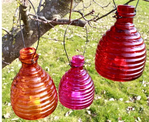 Bild: Sommerliche Plagegeister: So lassen sich Wespen fernhalten