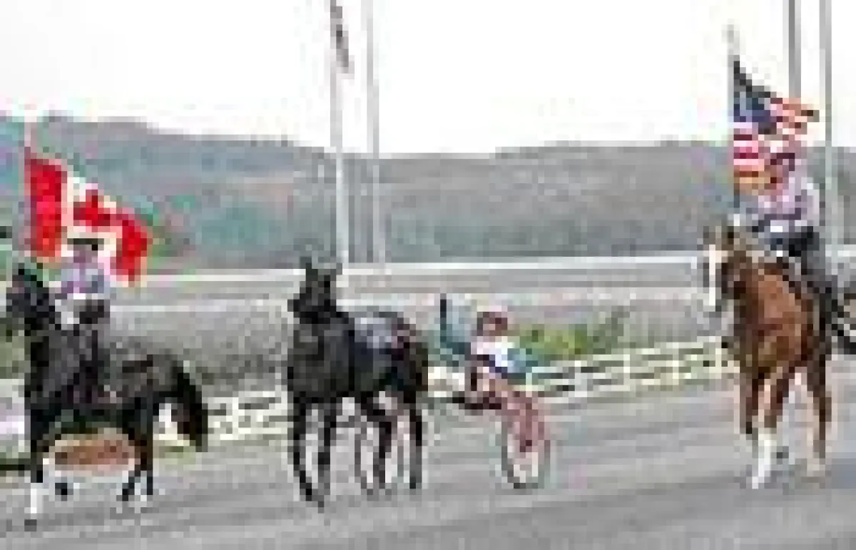 Breeders Crown 2008 live auf www.magnabet.com