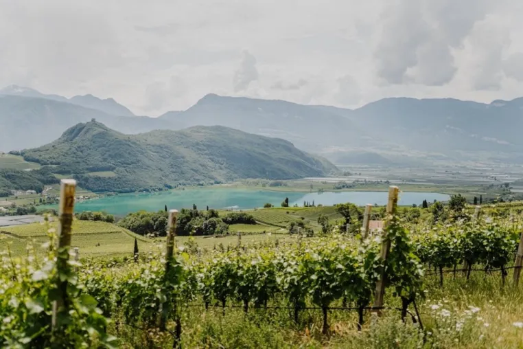 Wohnen, wo der Wein wächst - Hotels mit eigenem Weingut Bild: Wohnen, wo der Wein wächst - Hotels mit eigenem Weingut