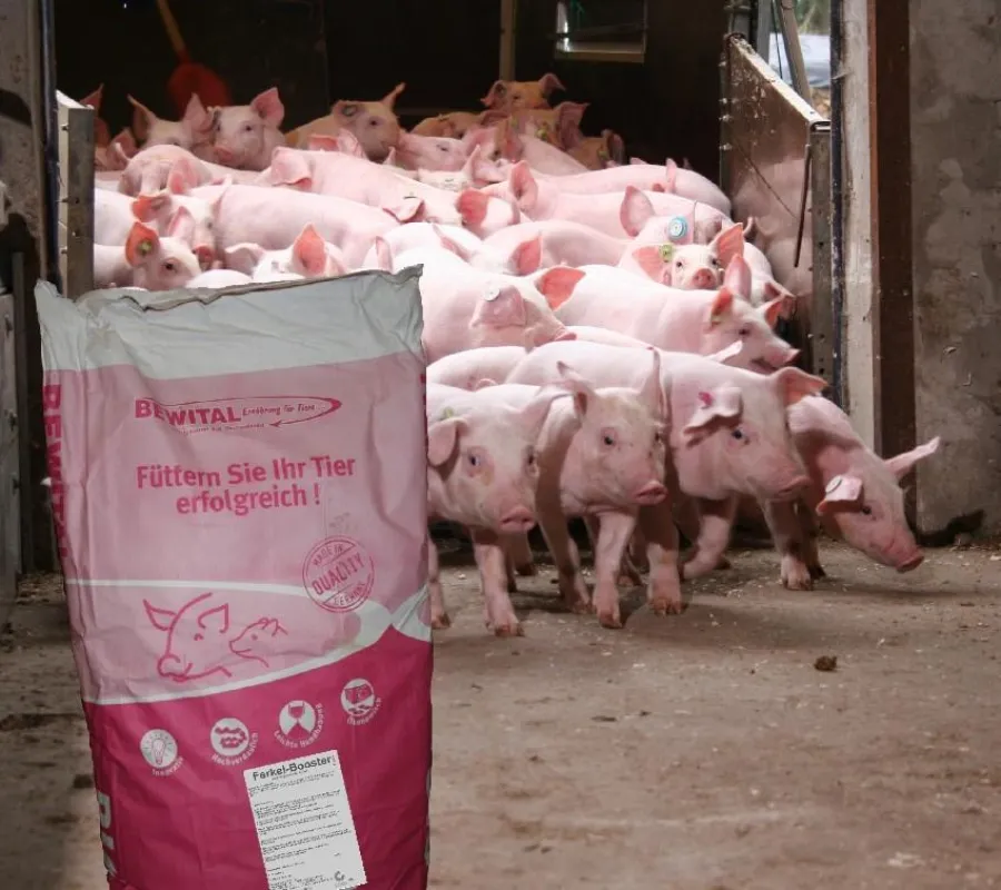 Mit dem Ferkel-Booster ist ein hervorragendes Wachstum der Ferkel gesichert