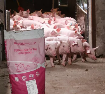 Bild: Ferkel-Booster - Turbo-Start in die Ferkel-Aufzucht