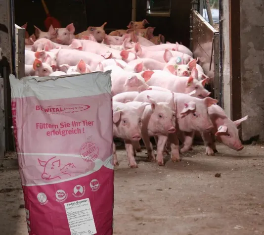 Ferkel-Booster - Turbo-Start in die Ferkel-Aufzucht Bild: Ferkel-Booster - Turbo-Start in die Ferkel-Aufzucht