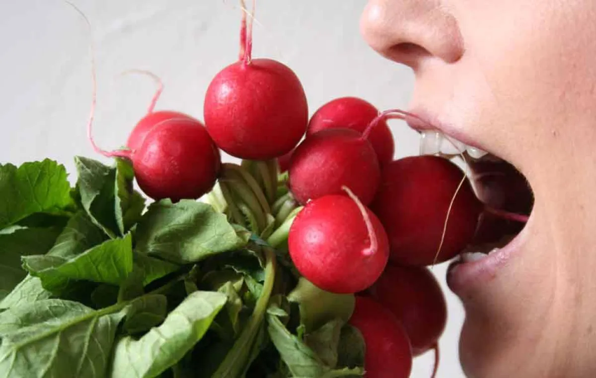 Voraussetzung für optimales Zerkleinern und Verdauen von Lebensmitteln ist ein gesunder Kauapparat.